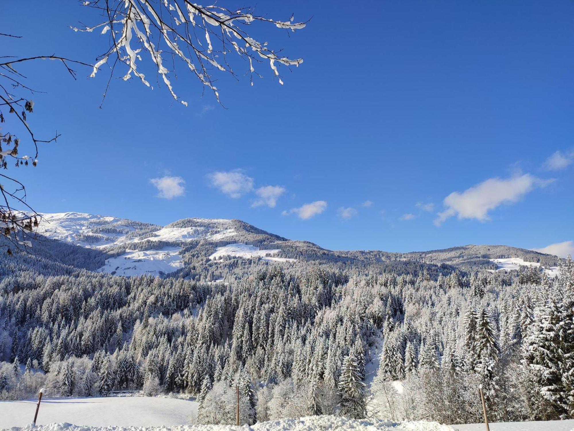 Hébergement de vacances Strauss Westendorf