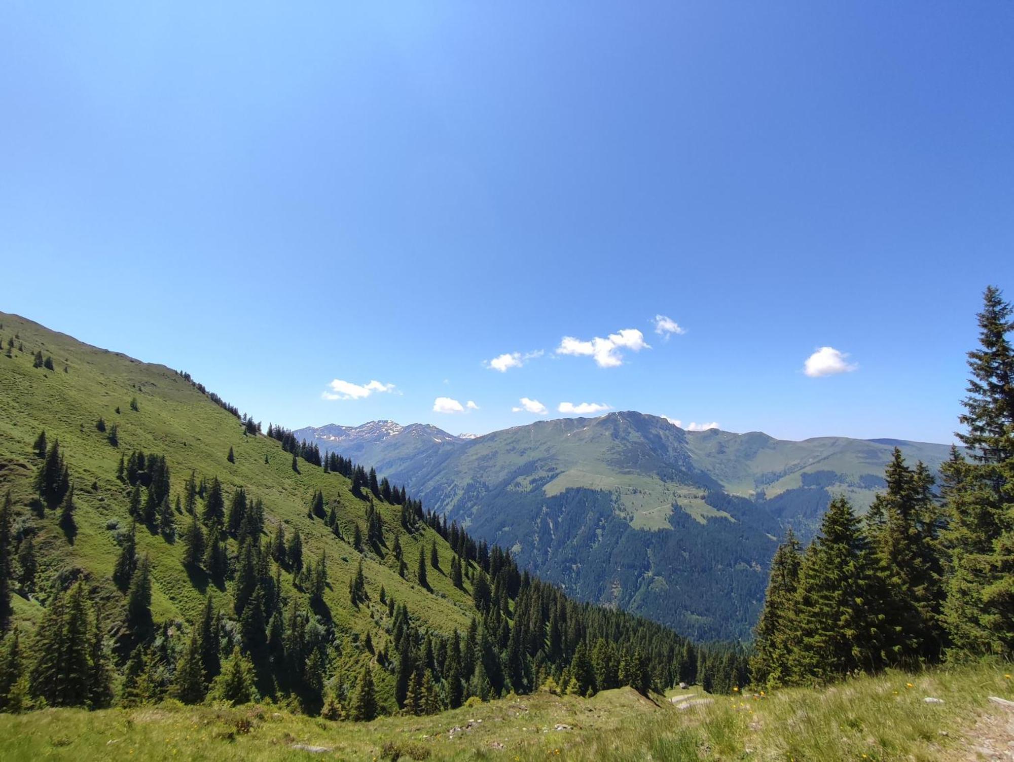 Strauss Westendorf